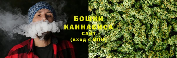 прущие грибы Богородицк