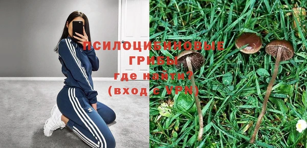 гидра Бугульма