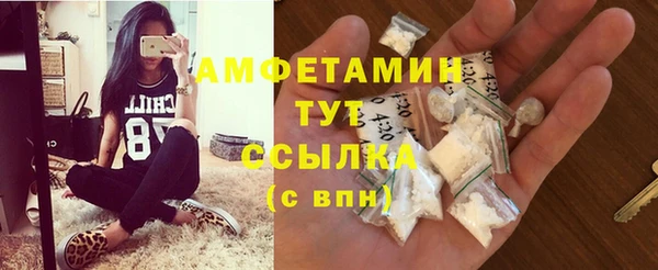 прущие грибы Богданович