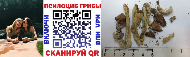 Галлюциногенные грибы GOLDEN TEACHER Карпинск