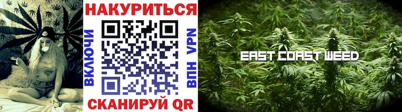 мориарти официальный сайт  Карпинск  Бошки марихуана план  наркота 